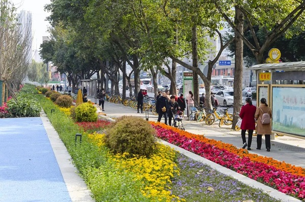牛王庙路口“微绿地”成了市民休憩散步的“打卡地”.jpg