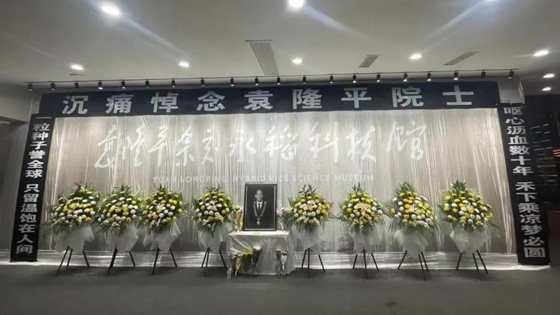 位于四川成都郫都区的袁隆平杂交水稻科技馆，设置了吊唁堂.jpg
