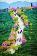 开江县回龙镇“四优四促