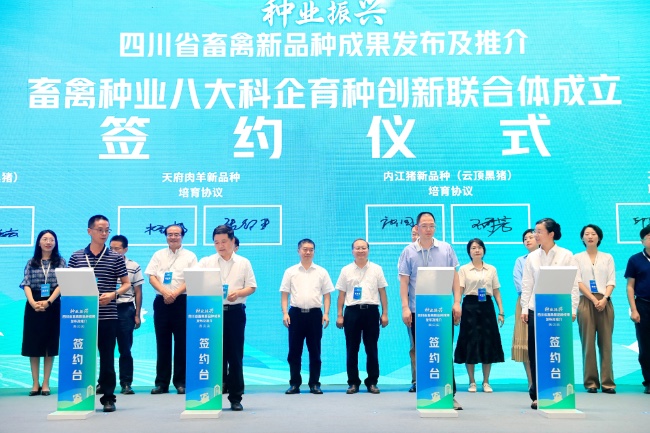 签约仪式现场。主办方供图