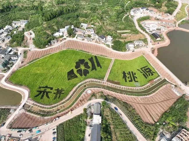 俯瞰宋井桃源。 大英县委宣传部供图