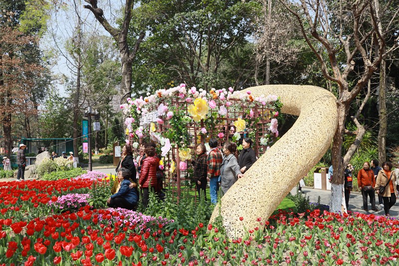 花会现场_副本.jpg