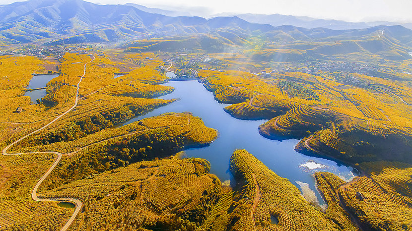 会理万亩石榴基地秋景_副本.jpg